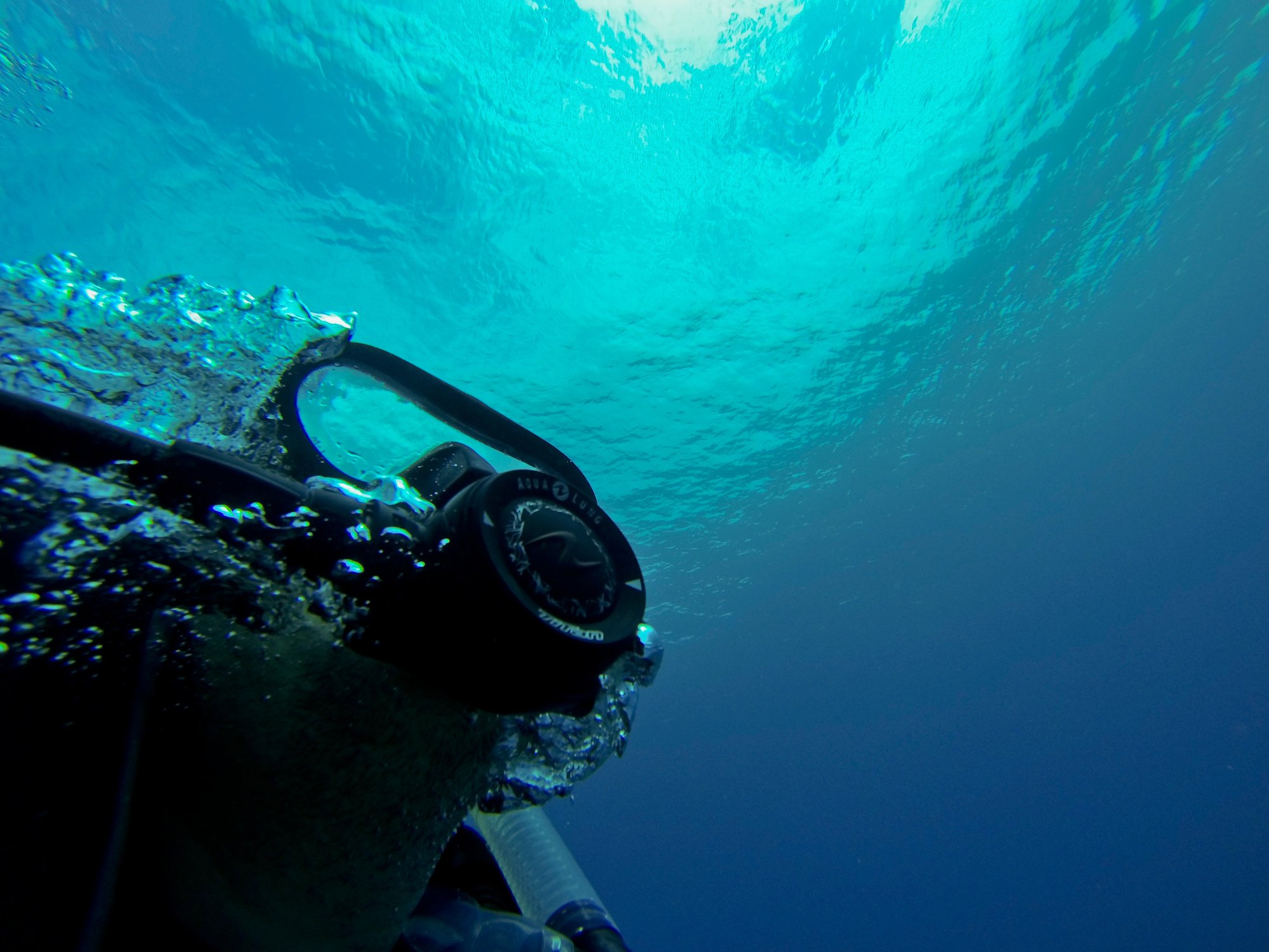 Scuba Diver Diving Underwater